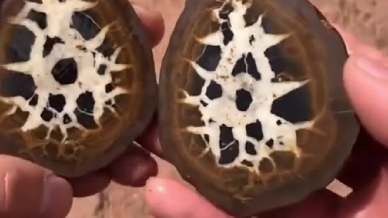 Most Satisfying Video!!!!