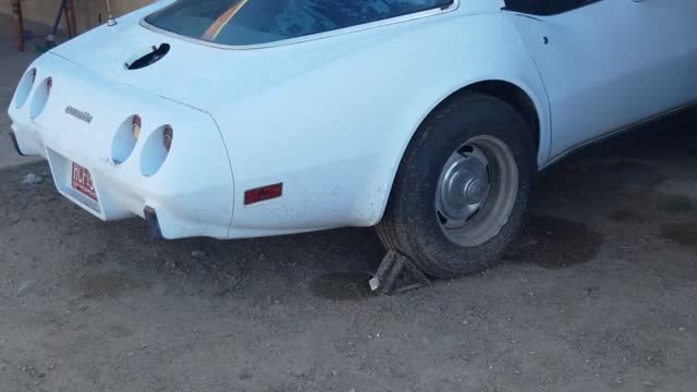 1978 corvette 25th anniversary survivor