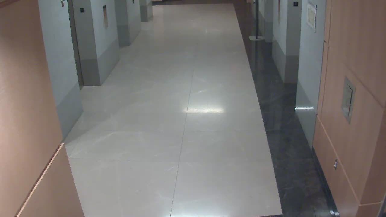 8488OHOB01ElevatorLobby_2021-01-05_05h20min00s883ms.mp4