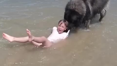 The little girl was saved from the ocean by the dog.