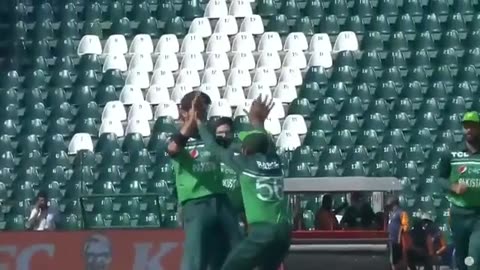 Shaheen Shah Afridi Top 10 Wickets In Cricket | Brilliant Performances | 2k23