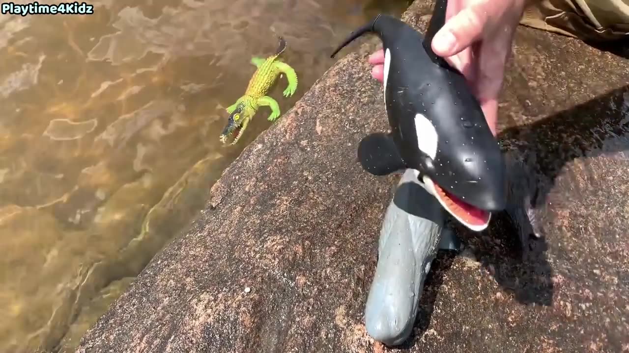 Sea Animal Toys This Summer at the Shore