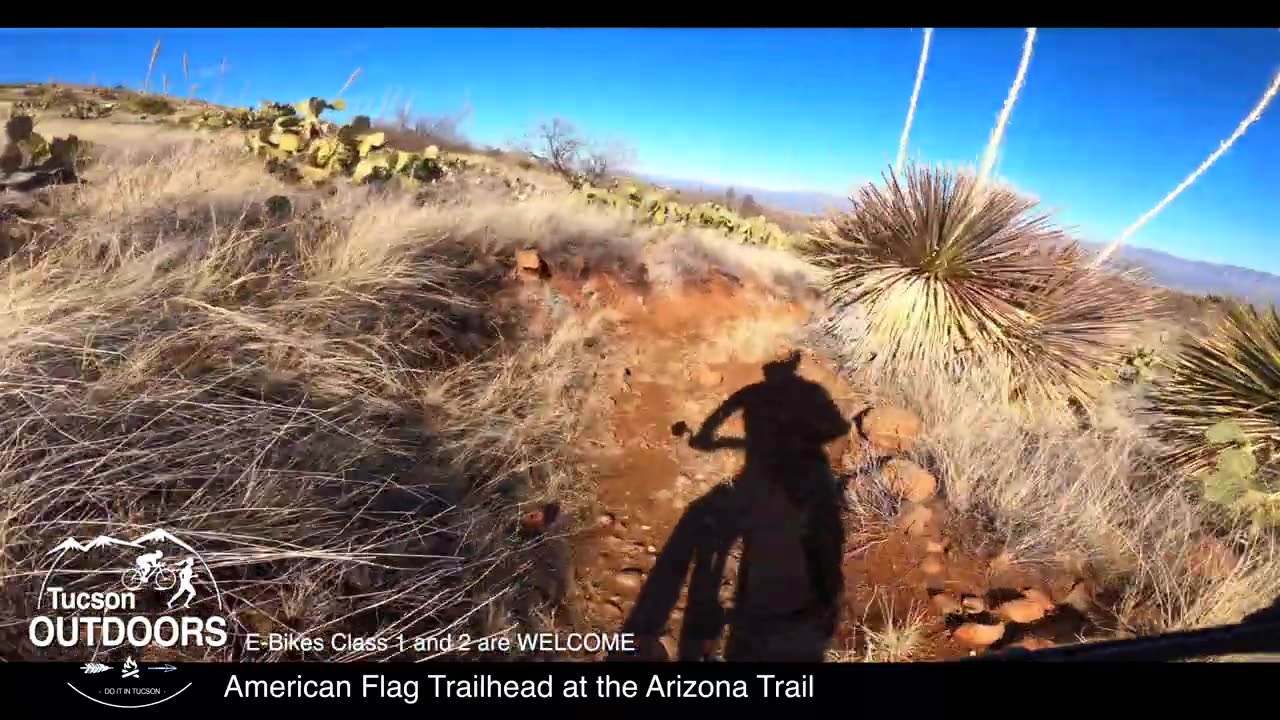 Exploring the Bike Trails Near Oracle, AZ | Desert Biking Adventure