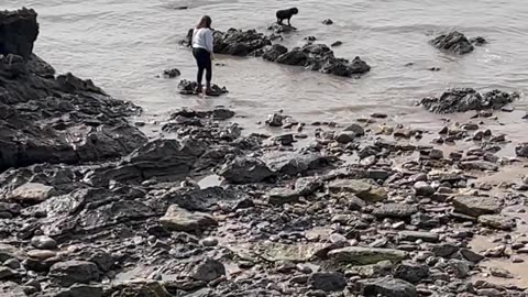 Woman Falls Into Water While Trying to Get Her Dog