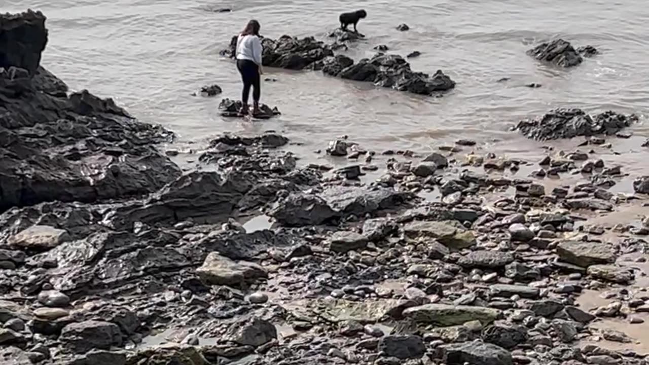 Woman Falls Into Water While Trying to Get Her Dog