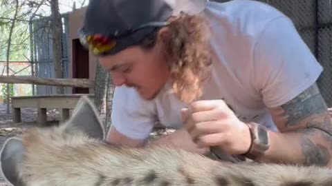 Ever bite a hyena haha