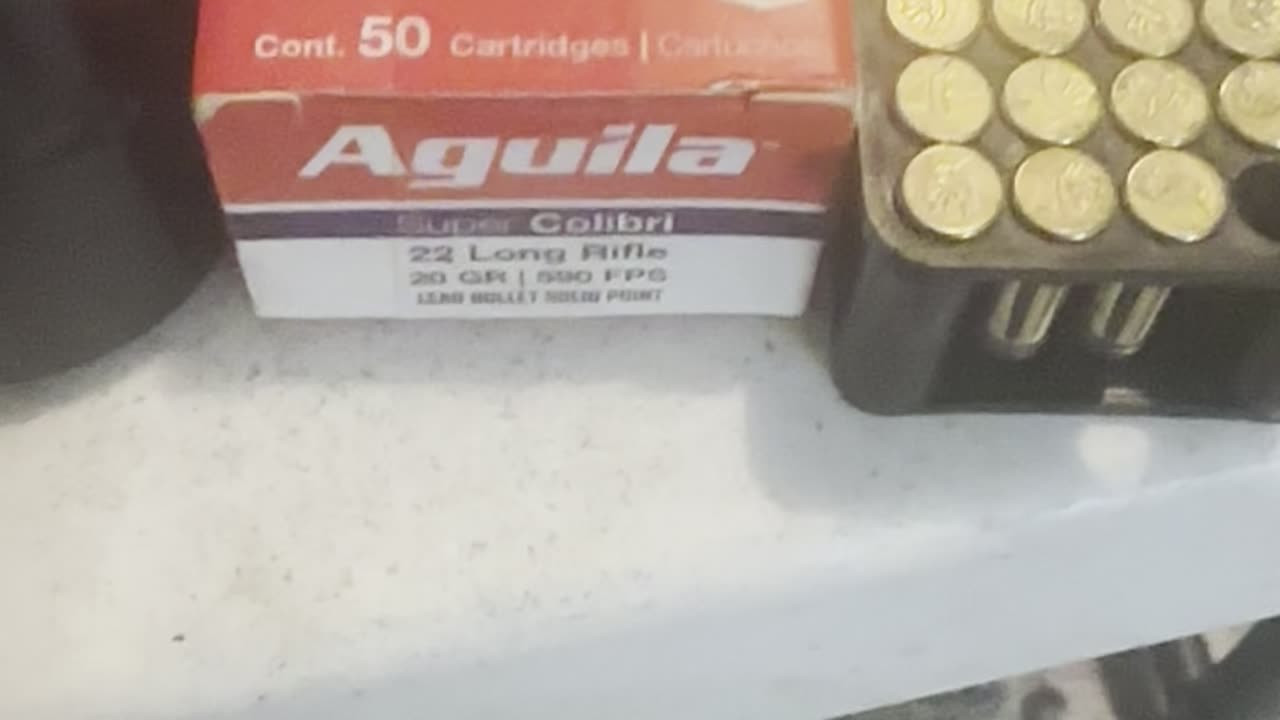 .22LR is the most versatile round. Colibrí by Aguila