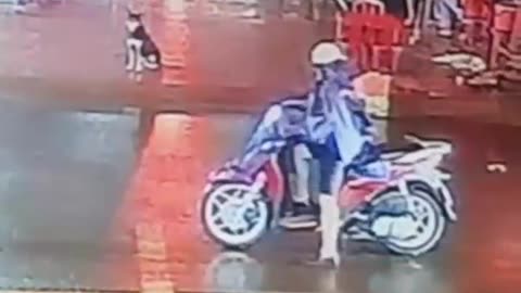 funny viral videos