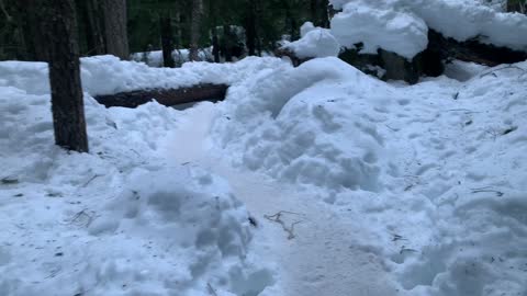 Narrow Icy Trail – Tamanawas Falls – Mount Hood – Oregon – 4K