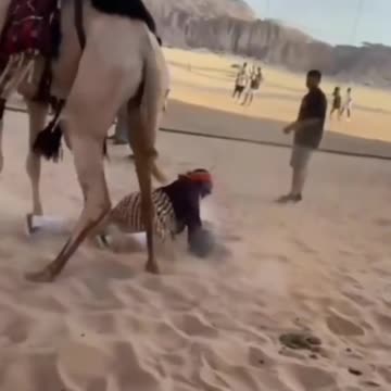 funny animal video (PART :9)