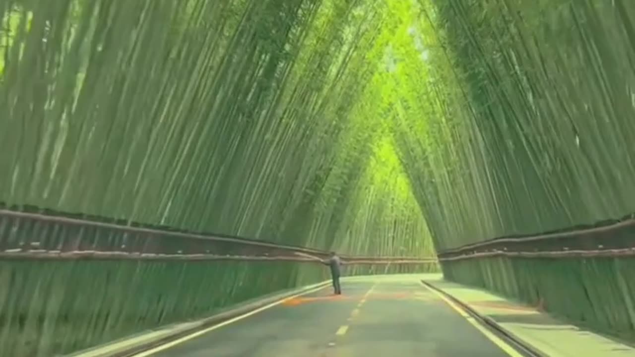 "A stroll through a botanical garden"