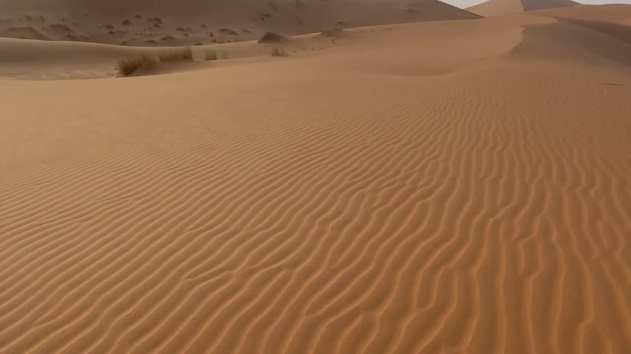 Beautiful desert 🏜