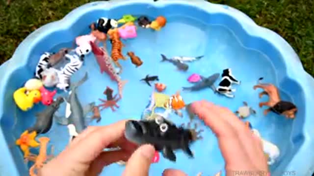 Easily learn colour and animal name for kids