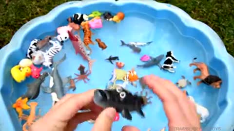 Easily learn colour and animal name for kids