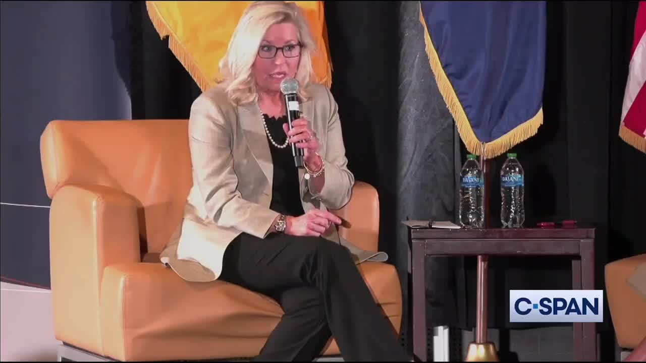 Liz Cheney Just Went Full Democrat (VIDEO)