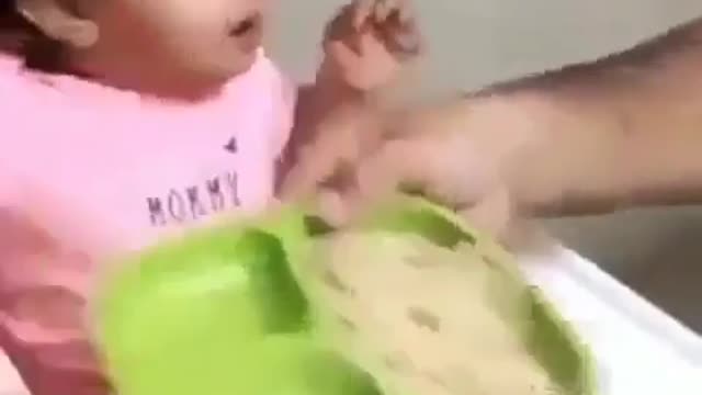 Cute pet video14