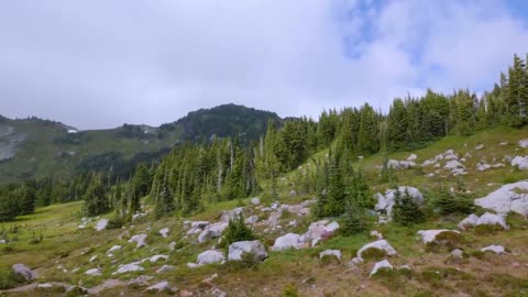 Mount Rainier National Park - Nature Relax Video, Summer Scenery