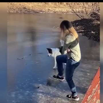 Funniest Cats And Dogs Videos 😂 - Best Funny Animal Videos 2023 😅