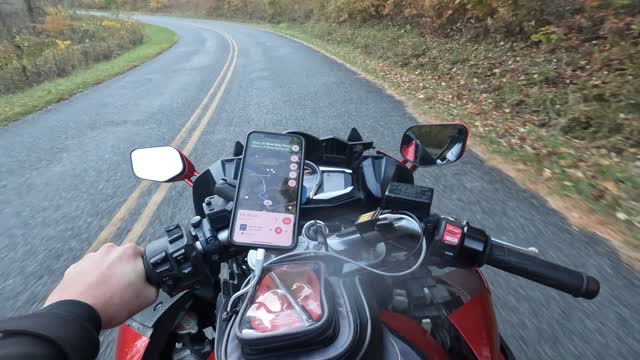 Motorcyclist Hits Deer While Going Around Corner