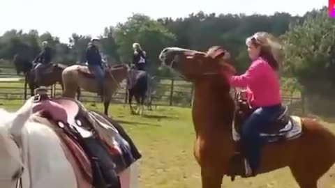 Horse riding trenig