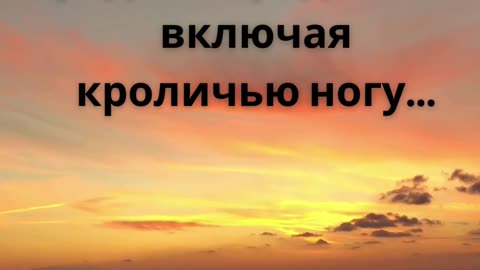 Факты о знаменитостях: Лучшие Забавные Моменты и Удивительные Открытия!