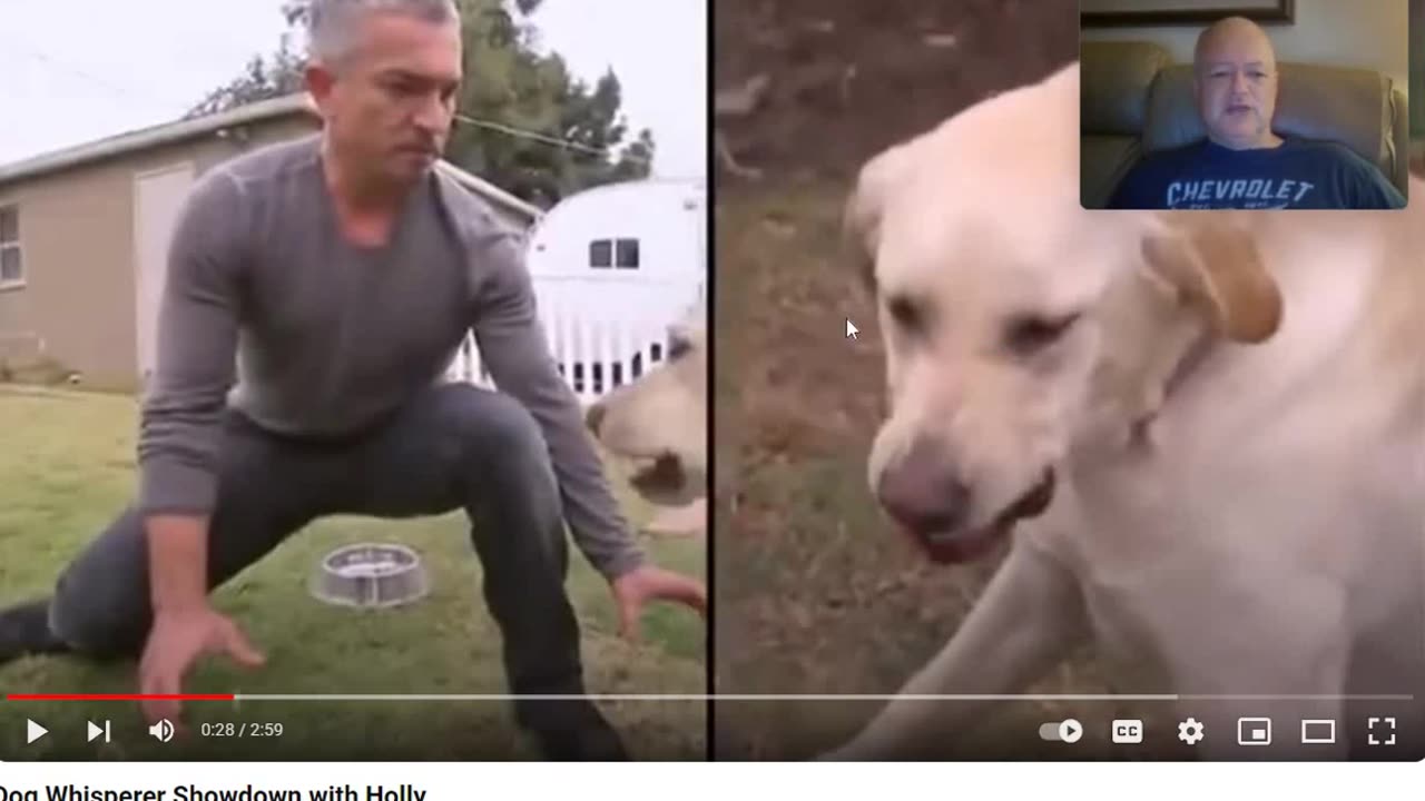 Cesar Millan vs Holly - A Relational Perspective - Flipping the Script