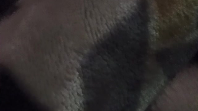 T/Crans vs. T/Crans? What now?!