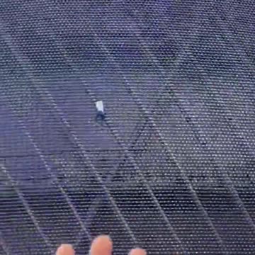 'Pro-Life Spider-Man' Climbs Las Vegas Sphere To Raise Money For A Homeless Mother