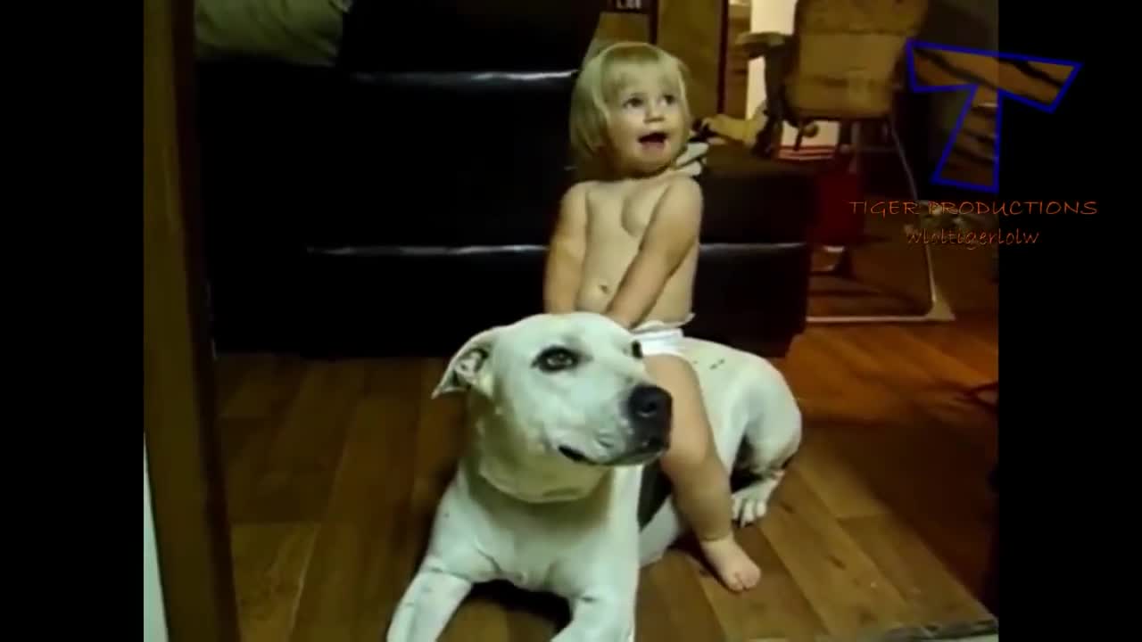 Cute Babies And Cute Dogs Annoy-Dogs And Babies