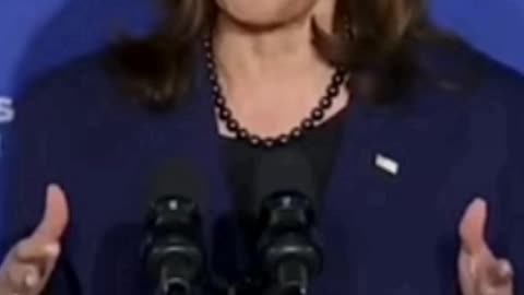 campaign promise of lies?!?