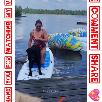 Funny video#ফানি ভিডিও