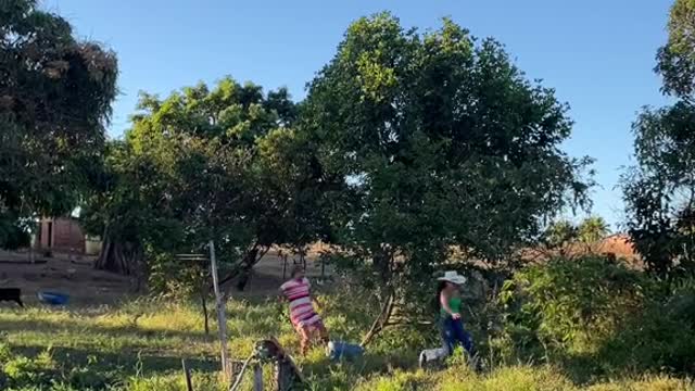NETA ATENTANDO-AVÓ MARIA
