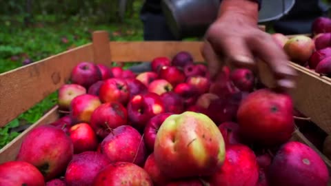 These apples should be delicious!