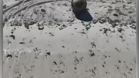 Mysterious Object Washed Up On Australia Beach