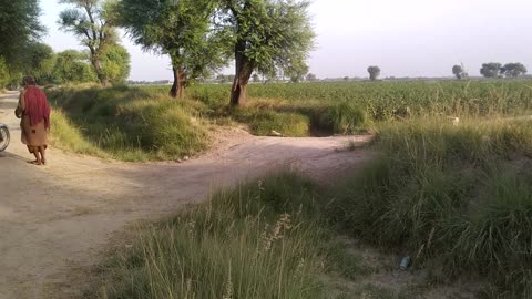 Willage beauti nature view