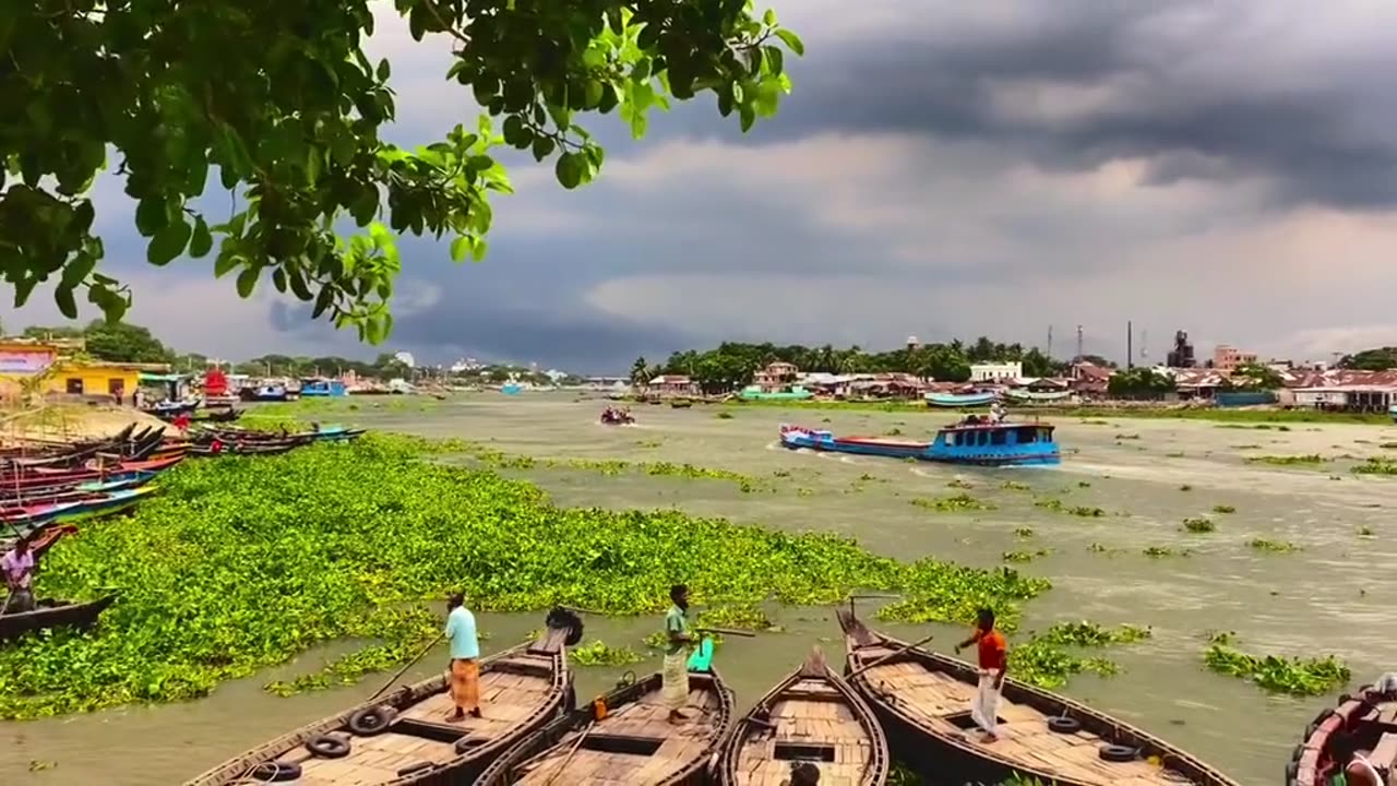 River view