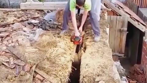 Funny videos