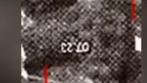 Covid-23 (??)