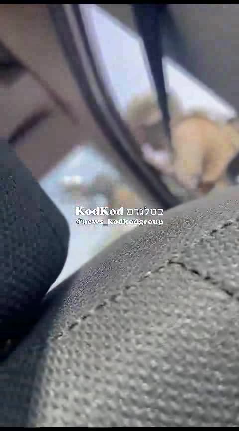 A little too close for comfort!