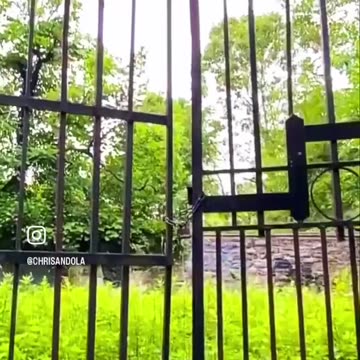 THEY HAD TIES TO THE REVOLUTION