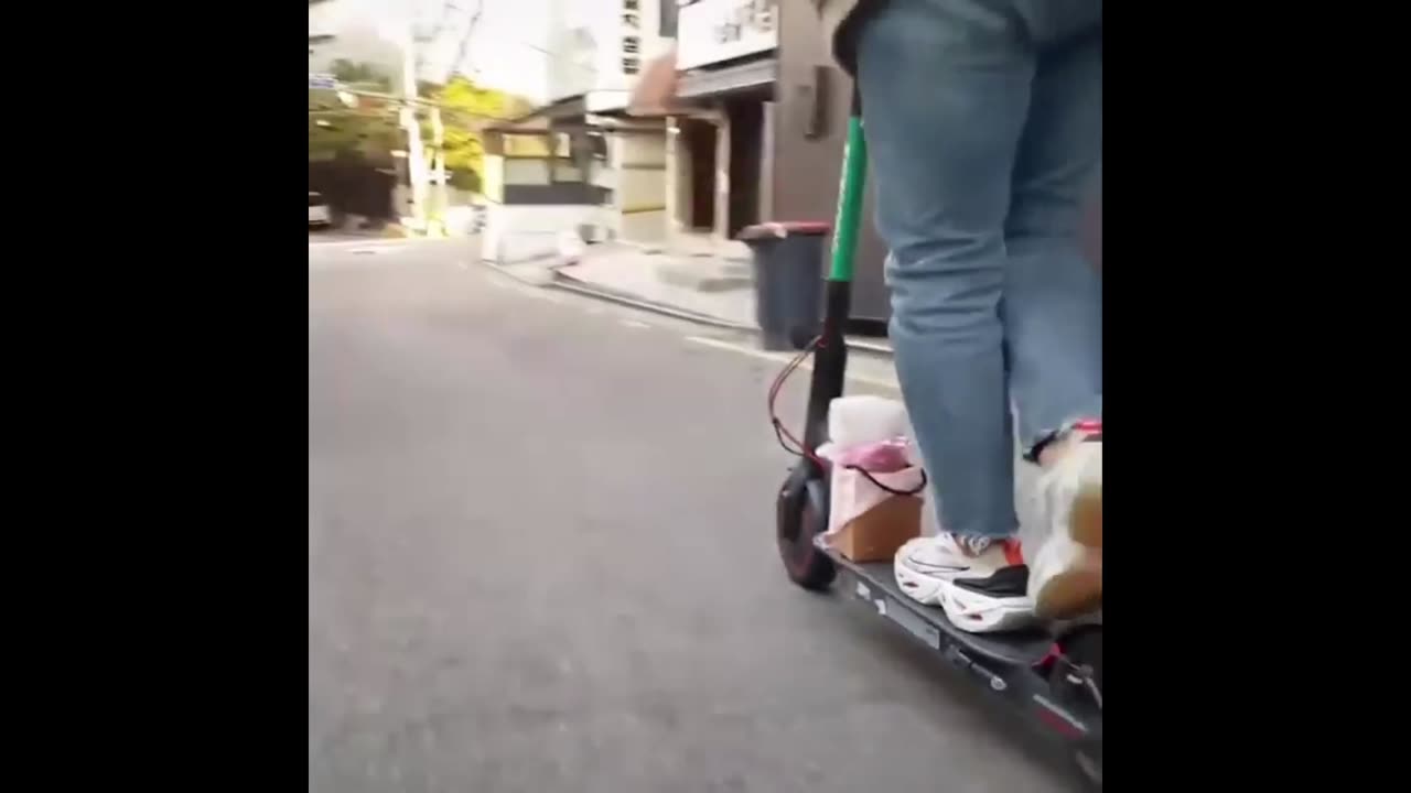 Super Cute Lovely Dog is Learning to Ride Skate Scooter | Animal Mode