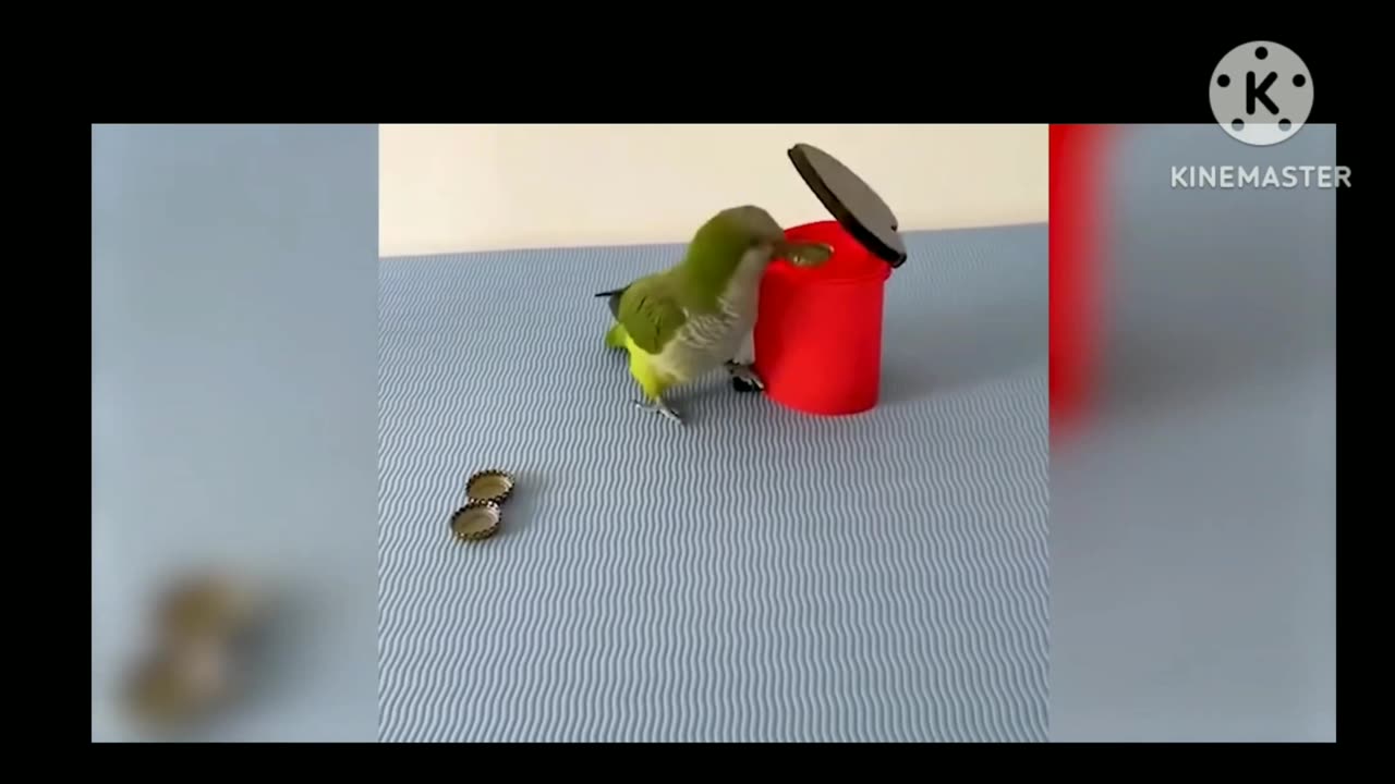 Funny video part - 4