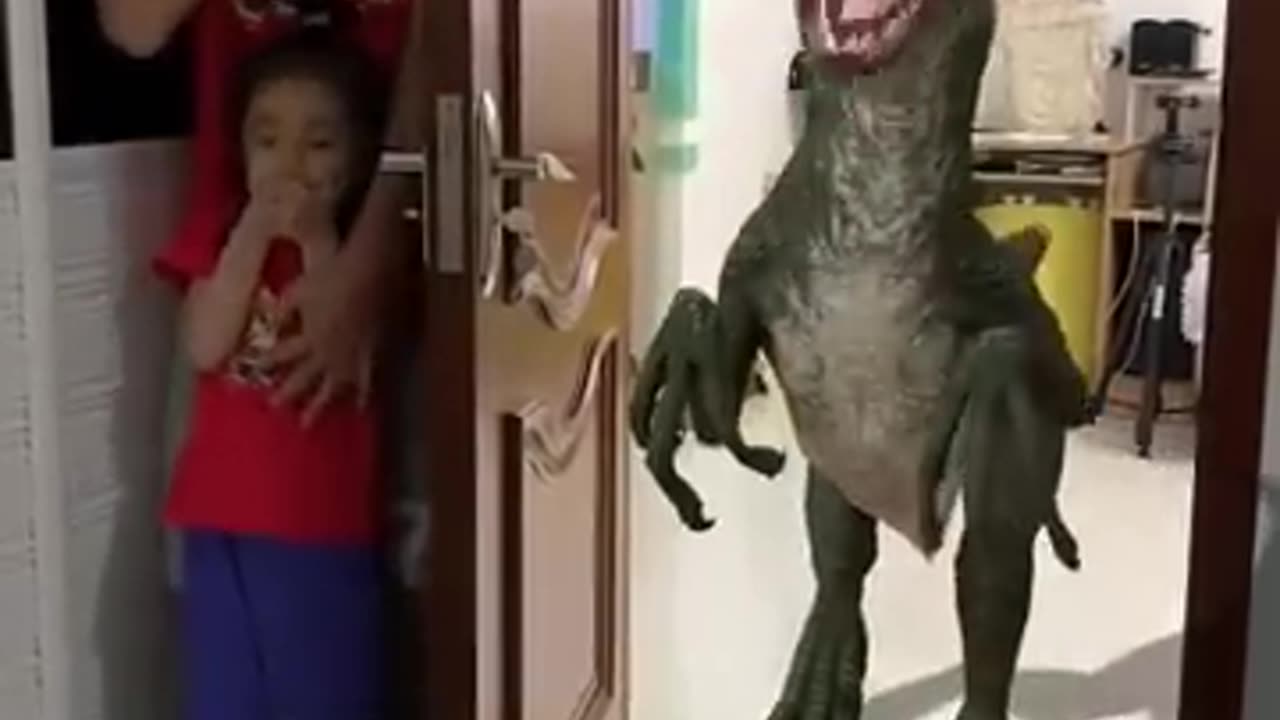 Dayna sor funny animals video