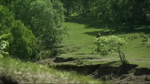 most powerfull hollywood action movie