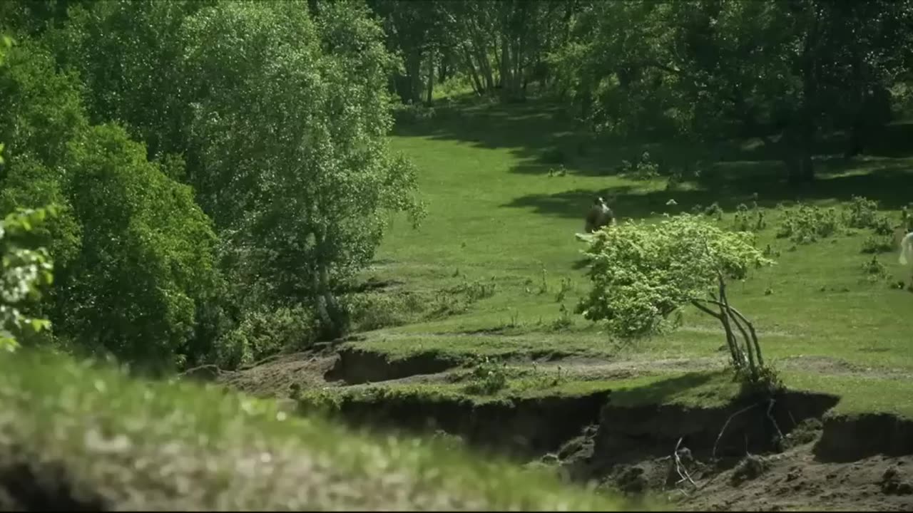 most powerfull hollywood action movie