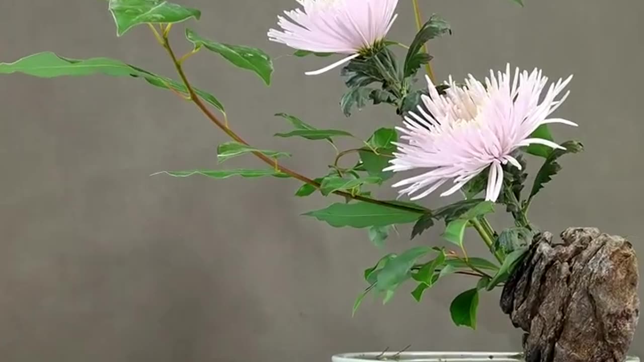 Flower ASMR