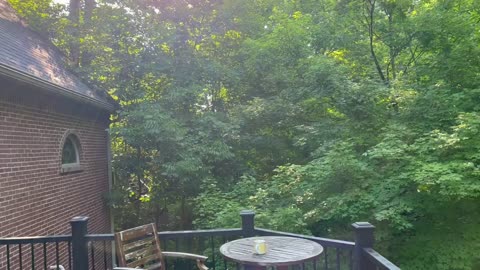 July 5, 2023 - A Perfect Morning