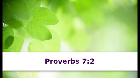 1 Minute -- Proverbs 7 Devotional -- May 7, 2023