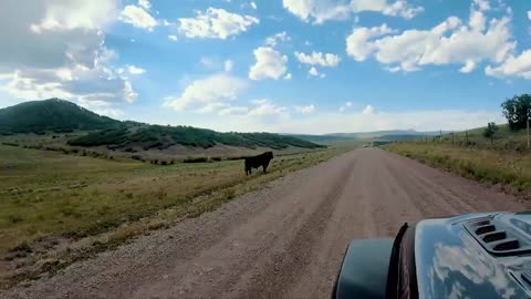 Jeep Ouray-Home On the Range