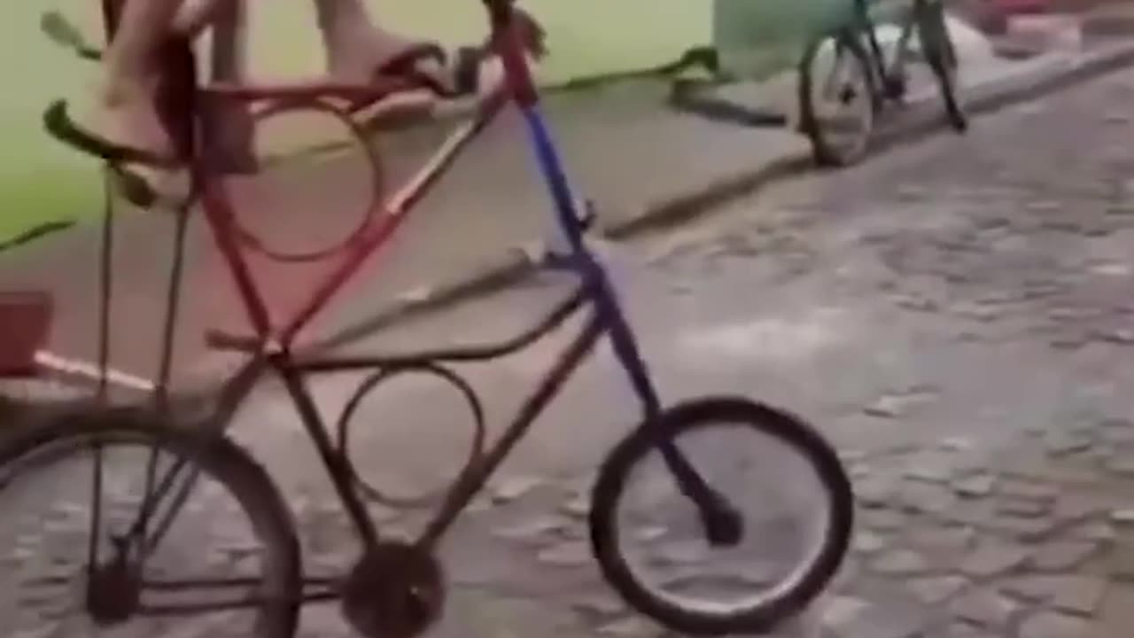 Best Fails Shorts | TikTok